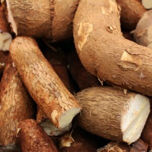 Yuca Orgánica